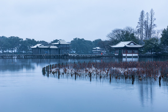 杭州曲院风荷雪韵