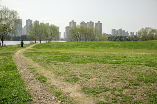 公园草地上的路