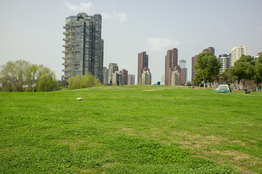 城市公园草地