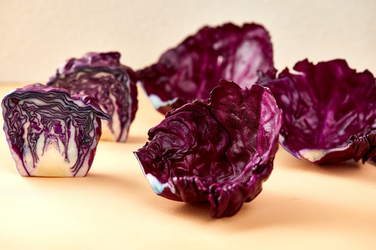 紫菜