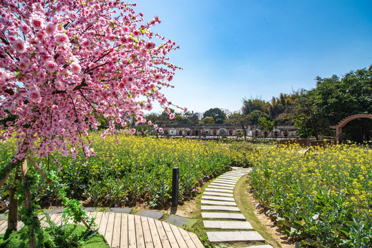 花路小径