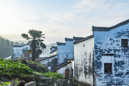 江西婺源李坑风景区风光