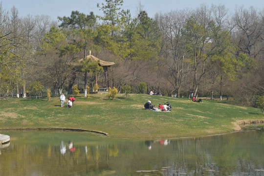 杭州太子湾公园