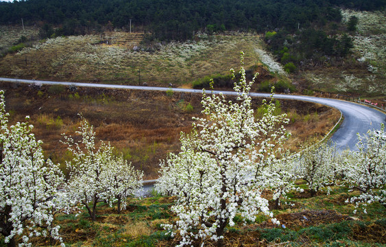 山间公路