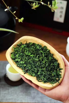 铁观音茶叶特写