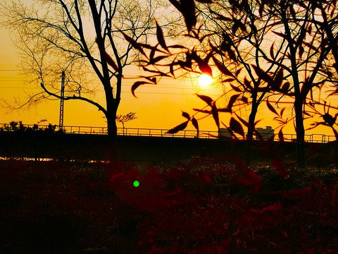 夕阳落日
