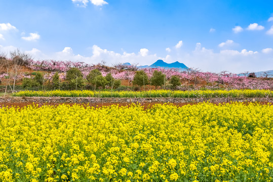 田园春色