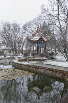 昆明大观公园雪景自然景观