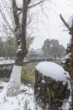 明大观公园雪景自然景观