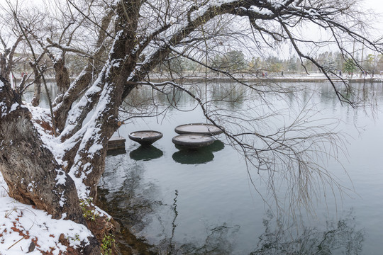 明大观公园雪景自然景观