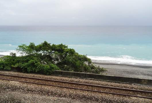 太平洋海岸