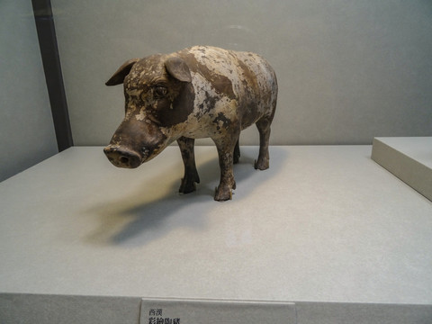 彩陶猪