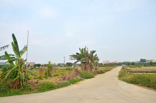 乡村道路