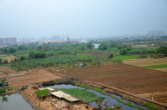 珠江三角洲农村