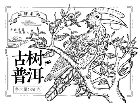 云南古树普犀鸟茶叶包装插画