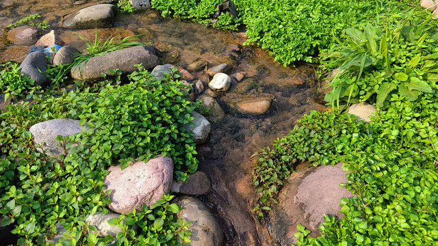 溪流水草卵石