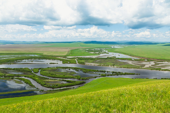 夏季河流湿地草原牧场