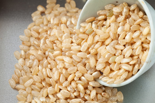 精品糙米