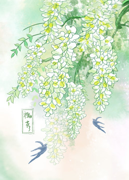 槐花