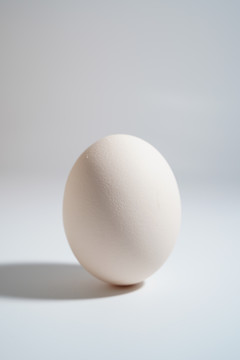 简单背景一个鸡蛋