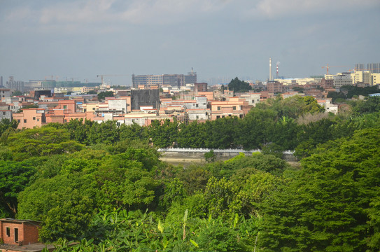 珠江三角洲农村