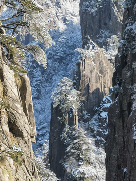 黄山雪景