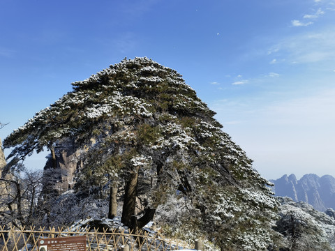 黄山雪景