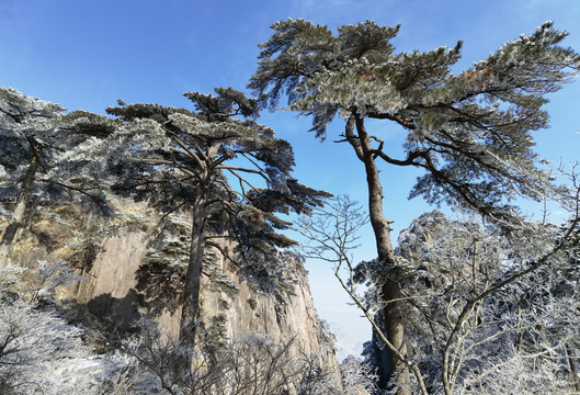 黄山雪景