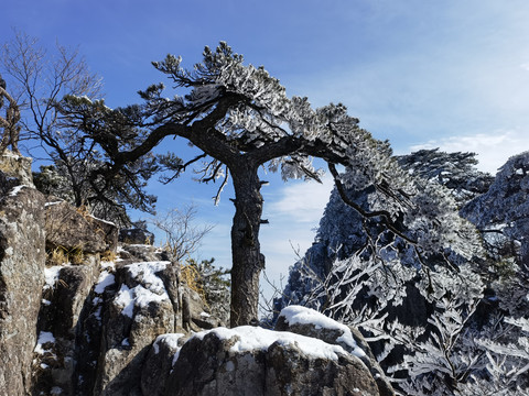 黄山雪景