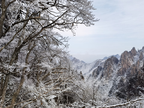 黄山雪景