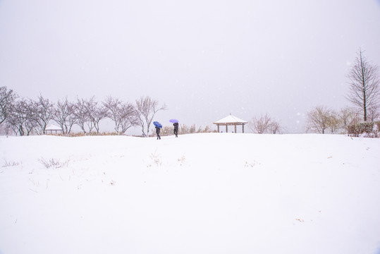 雪地