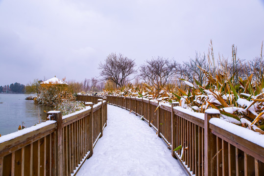 雪地栈道