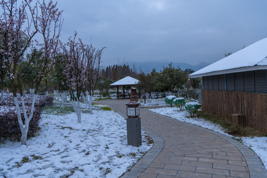 滇池湿地雪景