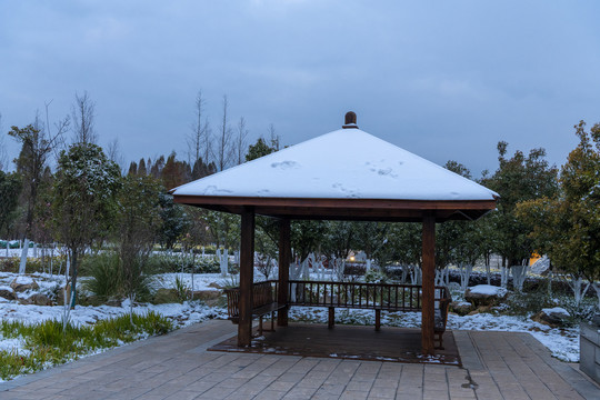 滇池湿地雪景