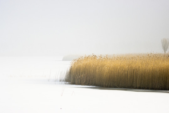 雪景