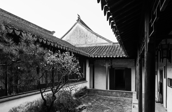 庭院