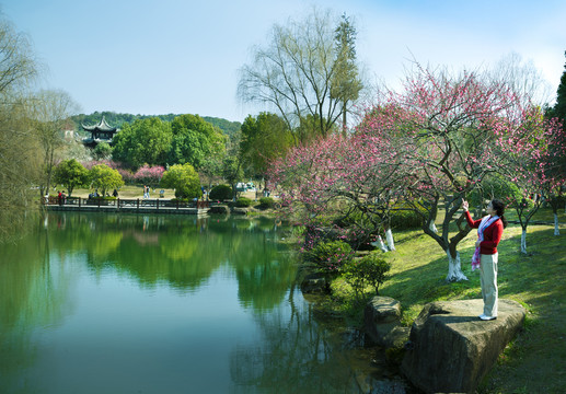 杭州超山