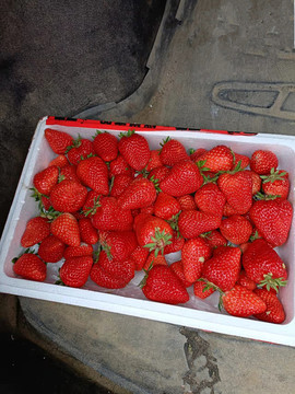 一箱草莓
