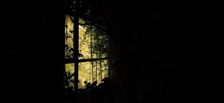 黑夜里有竹影的窗