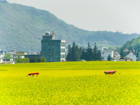 春季田园