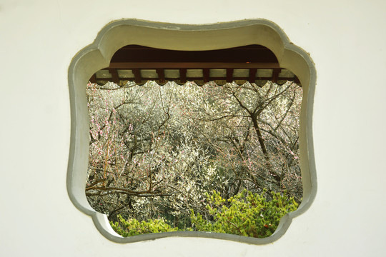 园林窗洞