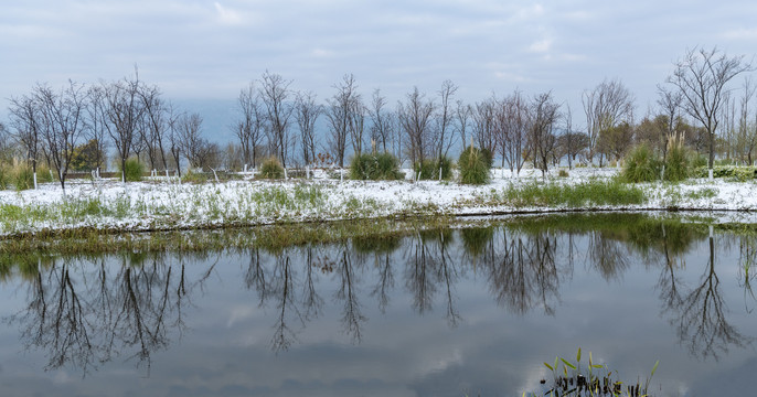 滇池湿地雪景