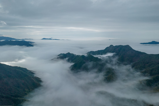 高山云雾