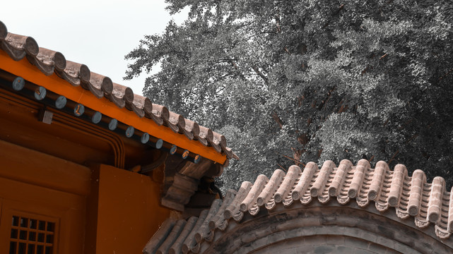 石刻艺术博物馆北京寺庙五塔寺