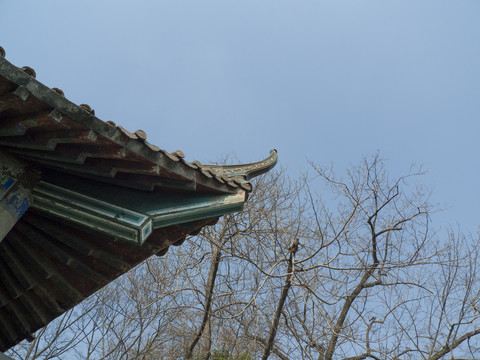 屋檐