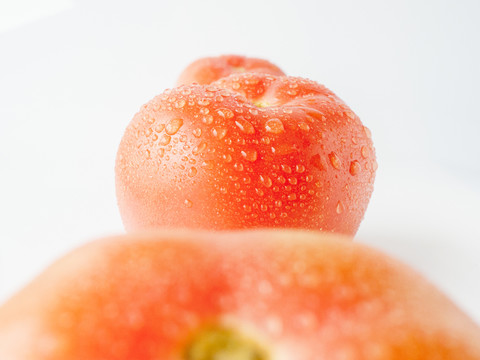 粉西红柿