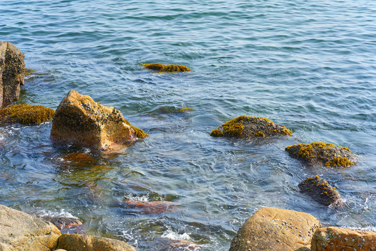 海水海岸石头