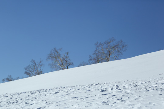雪景山丘图片