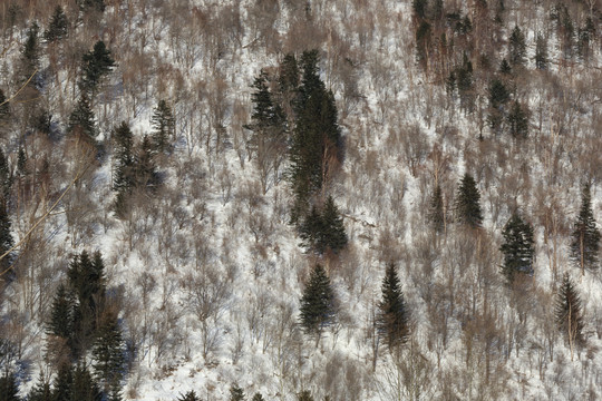 雪景山丘图片