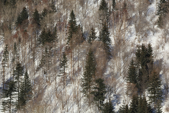 雪景山丘图片